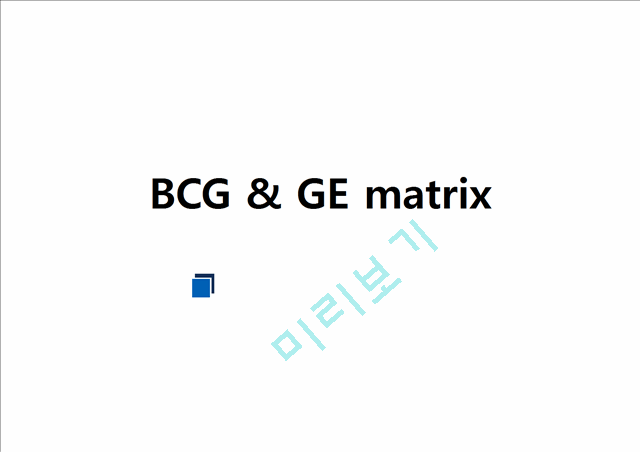 BCG & GE matrix   (1 )